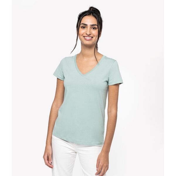 Native Spirit Ladies V Neck T-Shirt Thumbnail