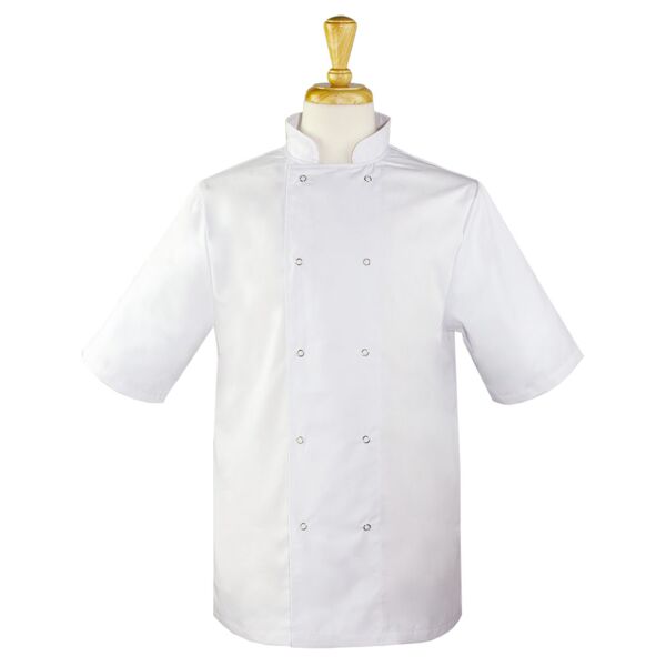 Short Sleeve Chefs Jacket Thumbnail
